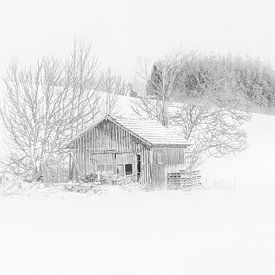 Winterlandschaft in der Allgaü von Annie Keizer