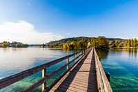 Kloster Werd auf der Insel Werd am Bodensee