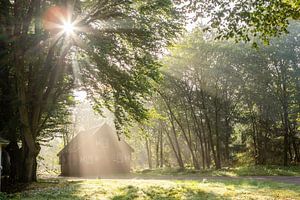 Nebliger Sonnenaufgang am Waldhaus! von Peter Haastrecht, van