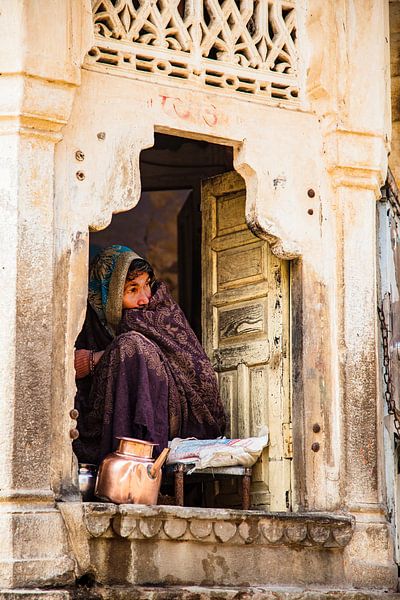Watervrouw Monkey Temple Rajastan - India van Perspective