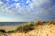 May dunes by Ostsee Bilder thumbnail