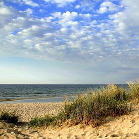 May dunes by Ostsee Bilder
