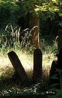 Zentralfriedhof 2