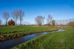 Ruisseau dans un paysage hivernal sur Werner Lerooy