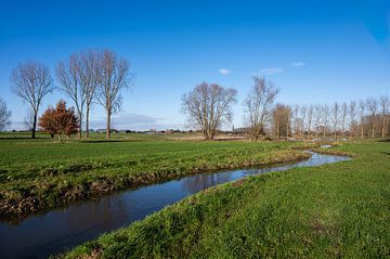 Stream through winter landscape