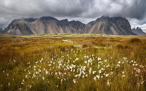Vestrahorn mountain on Stokksnes cape in Iceland