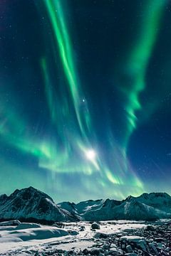 Nordlichter Aurora Borealis am Nachthimmel über Nordnorwegen