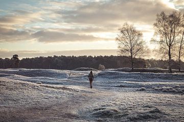 Winter op landgoed Heidestein Bornia in Driebergen Zeist van Peter Haastrecht, van