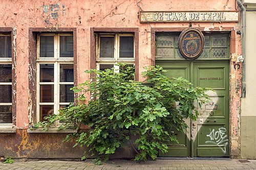 De Tap & De Tepel, Gent