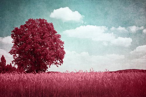 RED TREE