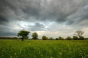 Gewitter
