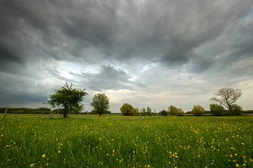 Rainstorm by Jan Koppelaar
