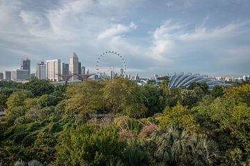 Dôme de fleurs et forêt de nuages, Singapour | Photographie de voyage sur Ylenia Di Pietra