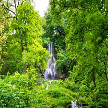 der Uracher Wasserfall im Frühling von Walter G. Allgöwer