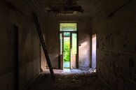 Entrée d'un château abandonné. par Roman Robroek - Photos de bâtiments abandonnés Aperçu