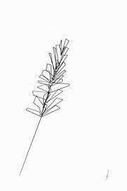 digital line drawing of grass, cubistically rendered by AnkieArt