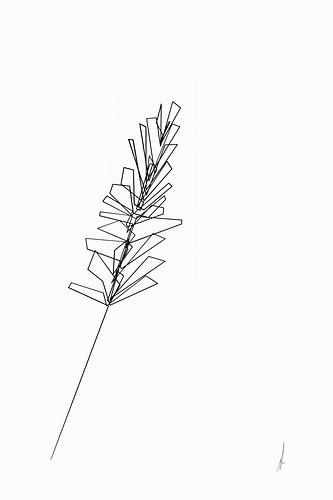 digitale lijntekening van gras, kubistisch weergegeven