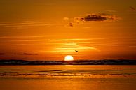 Sonnenuntergang am Meer von Gonnie van de Schans Miniaturansicht