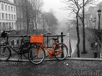 Utrecht Orange