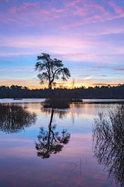 Het bekende eilandje in het Voorste Goorven met het blauwe uurtje. van Els Oomis