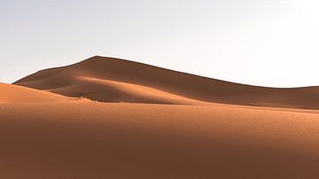 Zandduinen van Gabi Siebenhühner