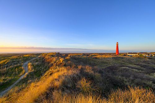 Schiermonnikoog landschap in de duinen met de vuurtoren