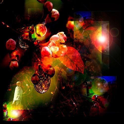 DE VOLWASSEN EERSTE TRAAN