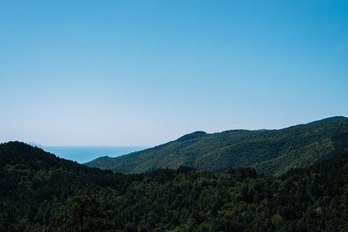Bergen met uitzicht op zee