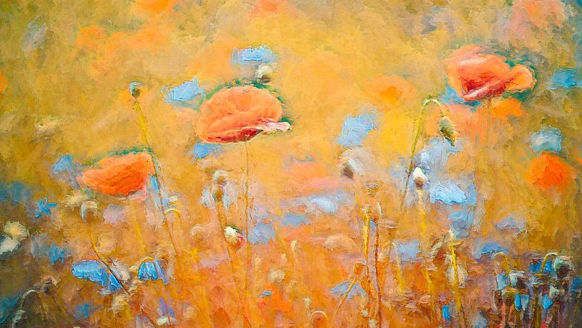 Mohnblumen in einem Kornblumenfeld von Francis Dost