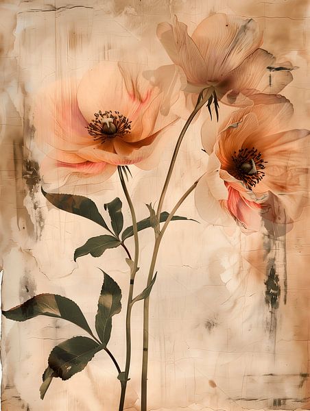 Poppies by Gypsy Galleria