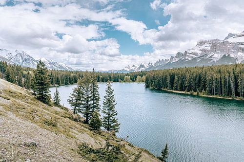 De wildernis van Canada