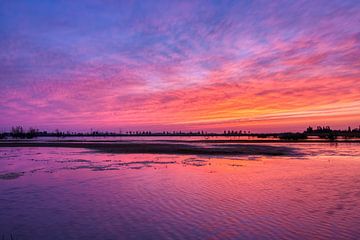 De magie na zonsondergang van Ellen Weidenaar