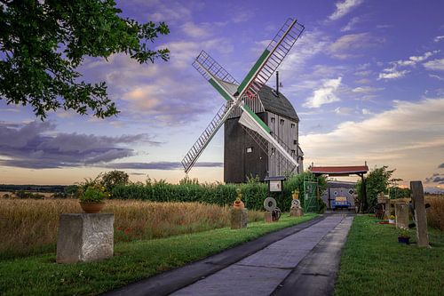 Flügelmühle Eimersleben