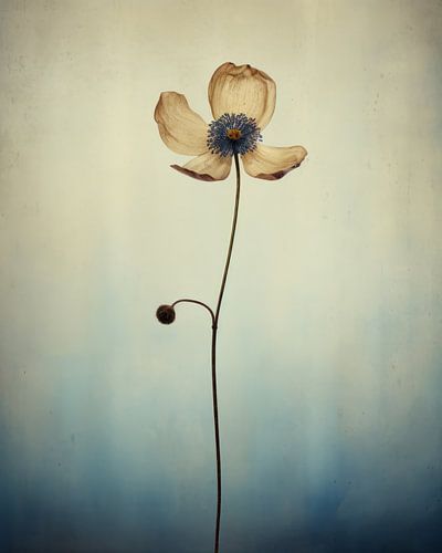 Einsame und zerbrechliche Blume