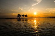 Zonsondergang op de Chobe rivier van Edith Büscher thumbnail