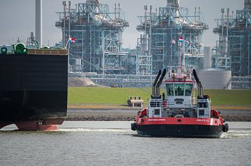 Tug Waterlines mit Marvel Pelican von Jan Georg Meijer