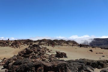 Paysage lunaire sur Marloes vink