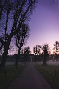 Landgoed Marquette in Heemskerk in een mistige zonsopkomst van Rianne van Baarsen