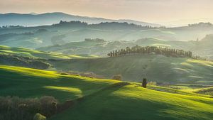 Die sanften Hügel von Val d'Orcia bei Sonnenuntergang
