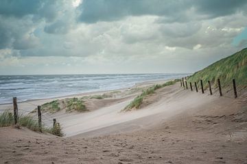 Paysage de la côte sur Original Mostert Photography