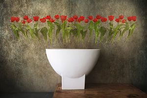 Nature morte avec vase blanc et tulipes