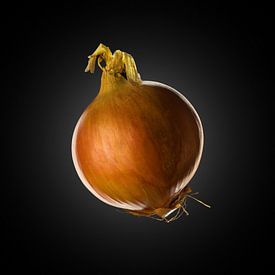 Onion on black background by Everards Photography