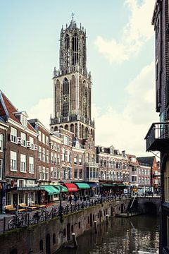 Die Kathedrale von Utrecht und der Fischmarkt