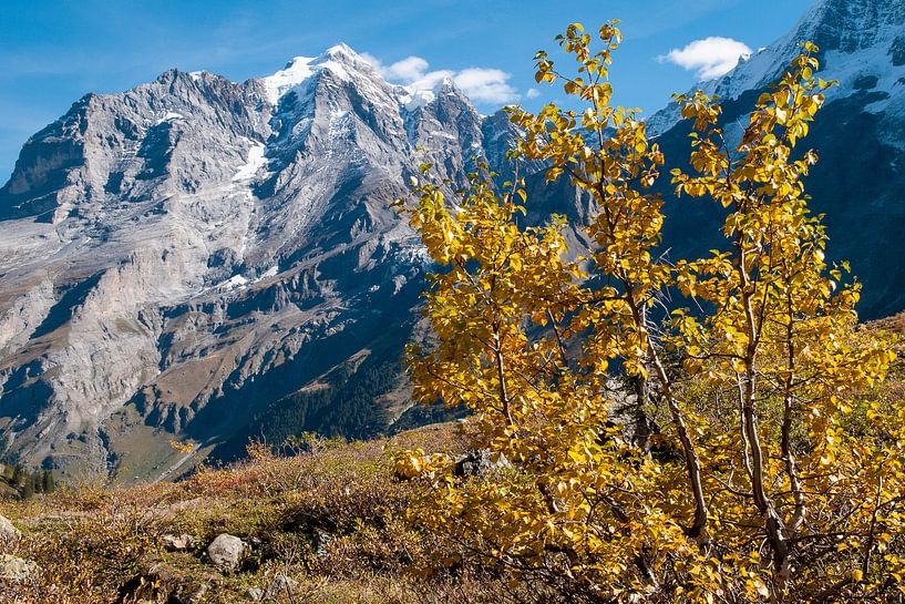 Herfst in de Alpen van John Faber