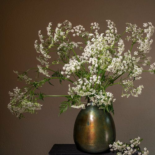 Still life with flowers. Cow parsley.