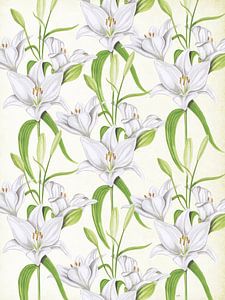 Weiße Lilien von Jasper de Ruiter