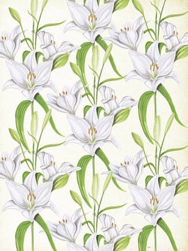 White lilies by Jasper de Ruiter