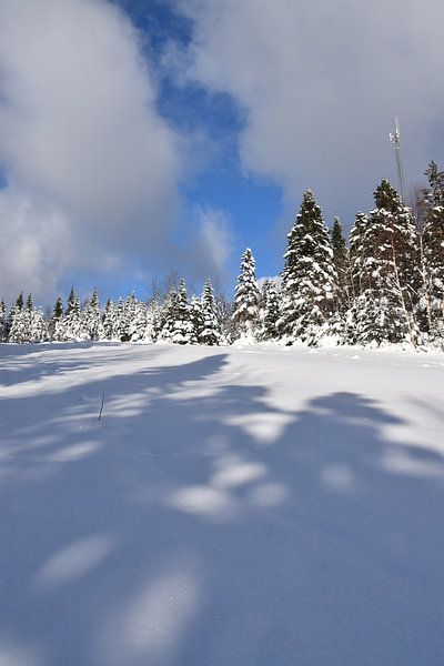 The recreational playground in winter by Claude Laprise
