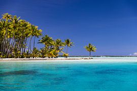 Smaragdgrünes Paradies: Die Vollkommenheit der Tropen Bora Bora von Timo Musiol