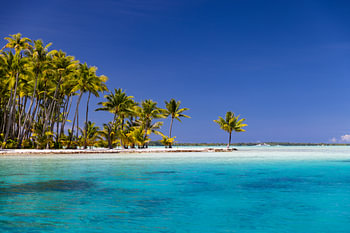 Smaragdgrünes Paradies: Die Vollkommenheit der Tropen Bora Bora